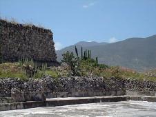 Last image of Mexico: cactus among the ruins of Mitla