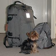 the backpacks are ready