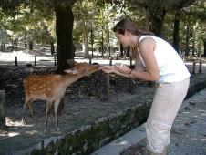 Caro feeding one of the dears ...