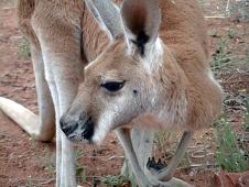 Here is the perfect shot !!