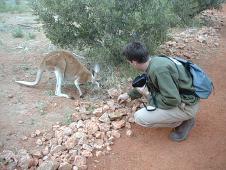 Seb - desperatly trying to have a kangoroo taking the right position for the perfect shot.
