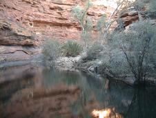At the bottom of Kings Canyon: the Garden of Eden