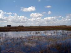 The Everglades ... riding an airboat