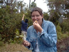 A quick stop along the road to pick up (and eat !) some guavas