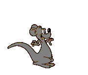 Kangaroo