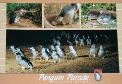 Taking photos was not allowed ... all I could do was buying a postcard !!