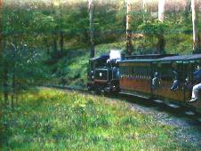 Puffing Billy, the victorian steam train