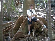 Seb between huge roots