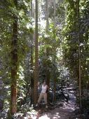 Caro in the rainforest (for once, I really felt small !!)