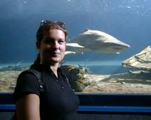 Caro ... close enough to the sharks