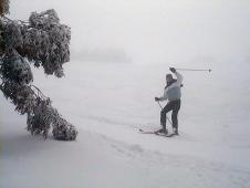 Susanna ... somewhere between fog and snow !