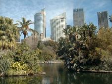 The city - view from the botanical gardens
