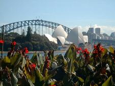 Sydney harbour bridge and Sydney opera house from  the botanical gardens
