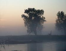 Morning in Yellow Water