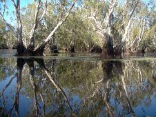 The reflecting water